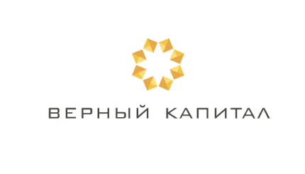 Логотип клиента: Verny Capital
